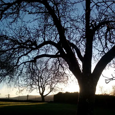 カントリーハウス Casa Vixide *