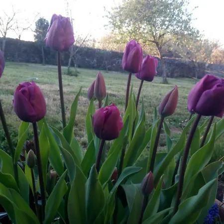 Casa Vixide カントリーハウス *