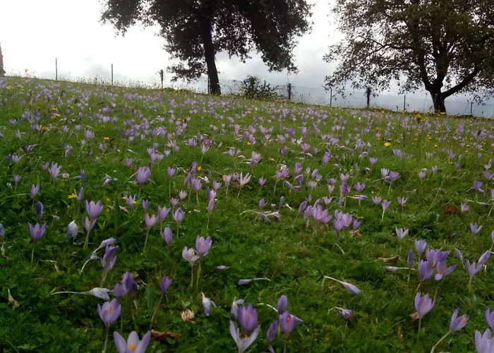 Casa de Campo Casa Vixide