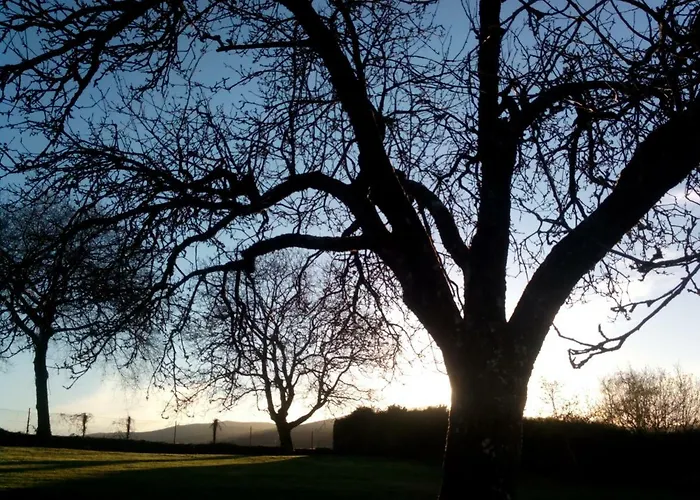 Casa de Campo Casa Vixide *